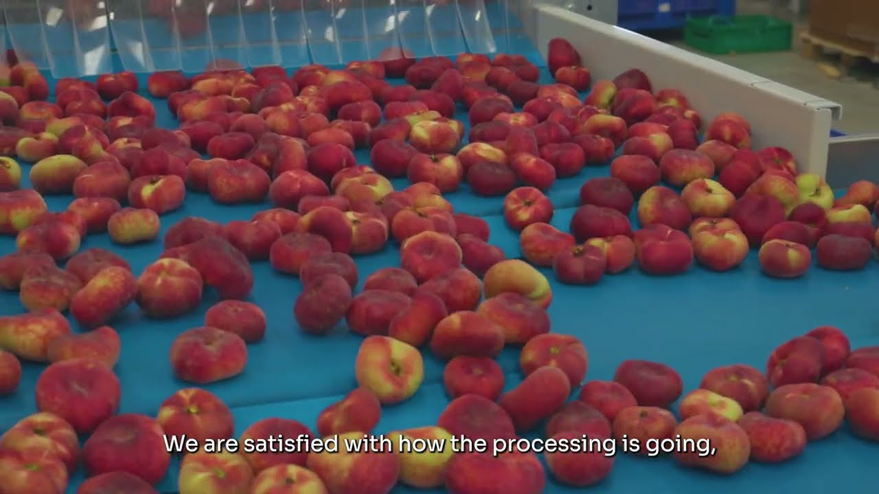 Ser.mac - Eleuteri sceglie la linea di lavorazione per le pesche nettarine piatte