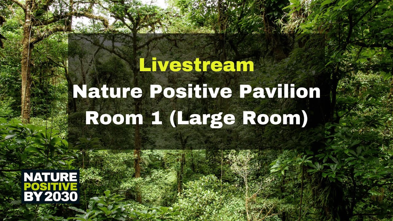 Day12: The Nature Positive Pavilion at COP16 - Room 1
