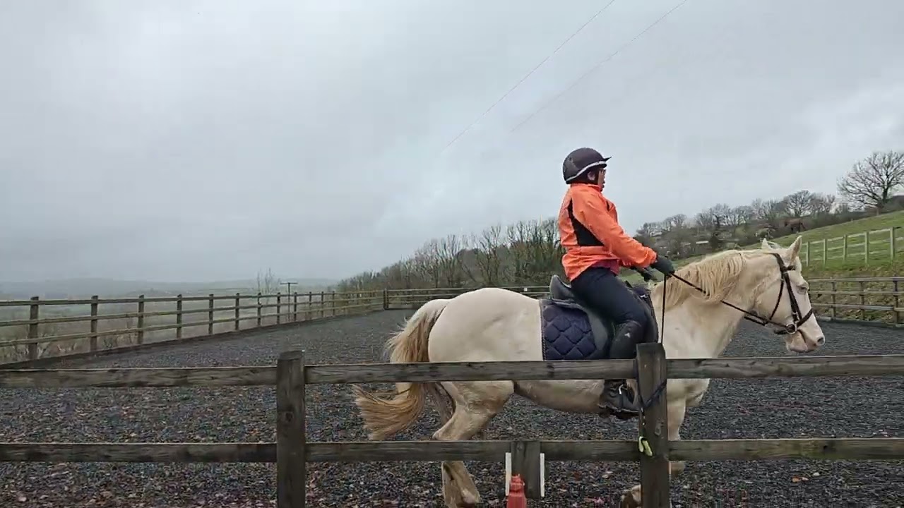 Dressage Adventures Poppy BD Novice 1 (2024) December 2025