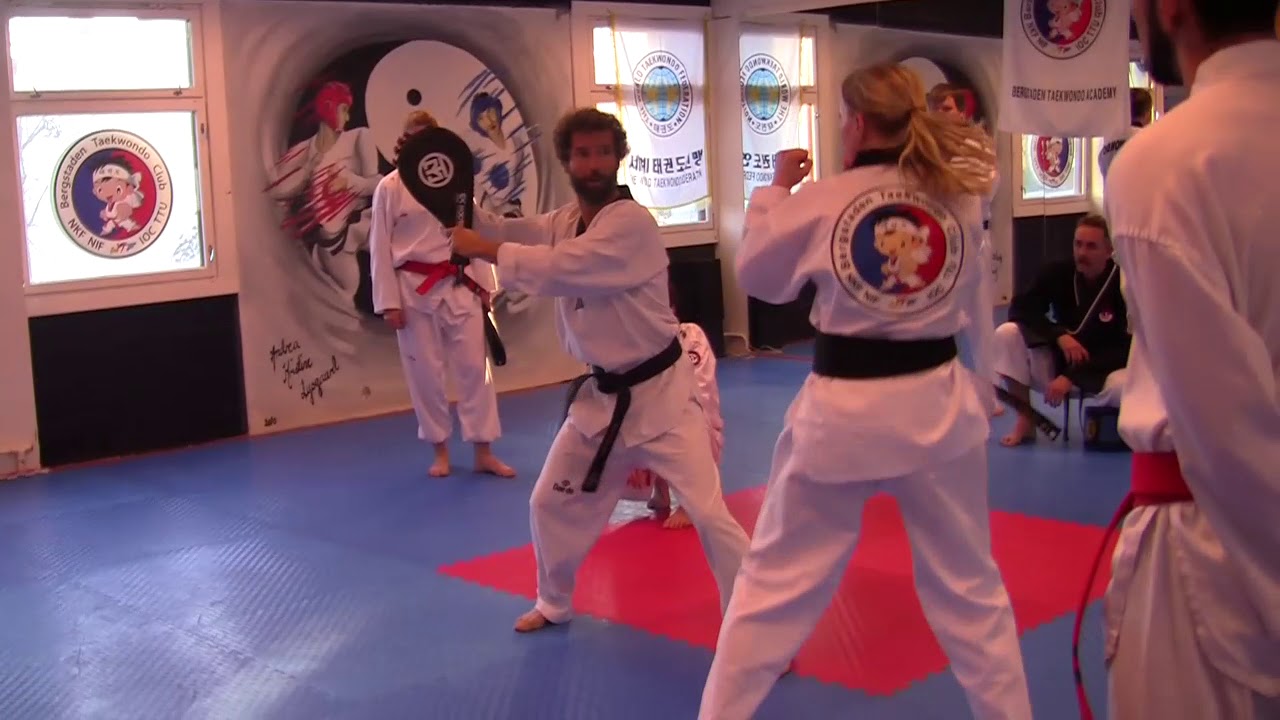 Part 2: Taekwondo International Seminar