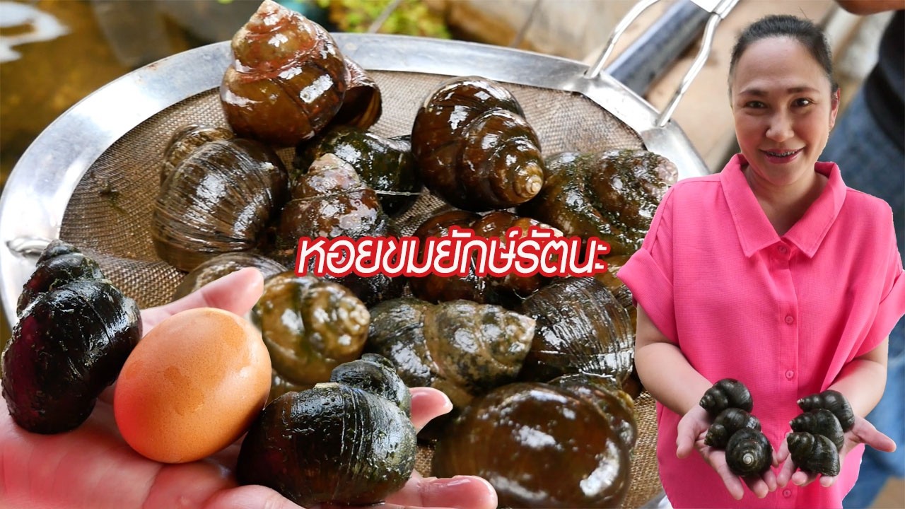 เลี้ยงหอยขมยักษ์รัตนะ