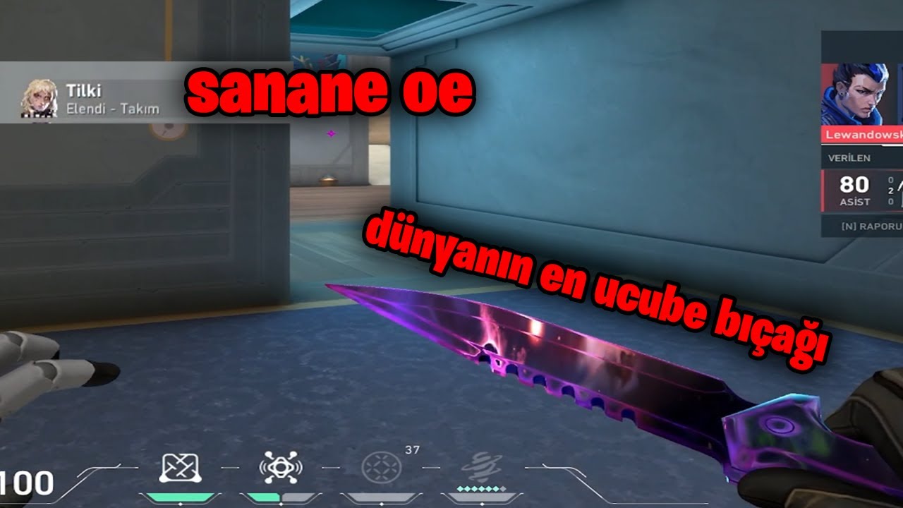 valorant takımdaki kızı zorbaladık