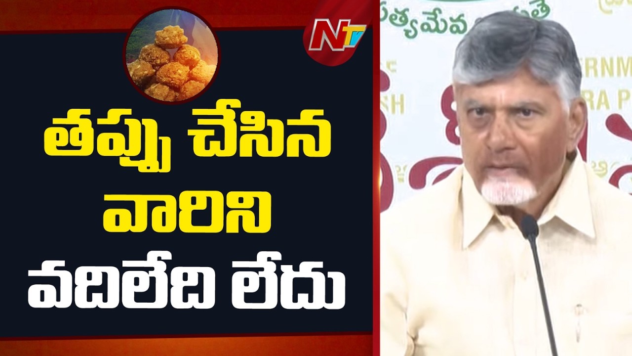 లడ్డూ కల్తీ నెయ్యి పై ఏకసభ్య కమిటీ వేస్తున్నాం | CM Chandrababu on TTD Laddu Issue | NTV Telugu