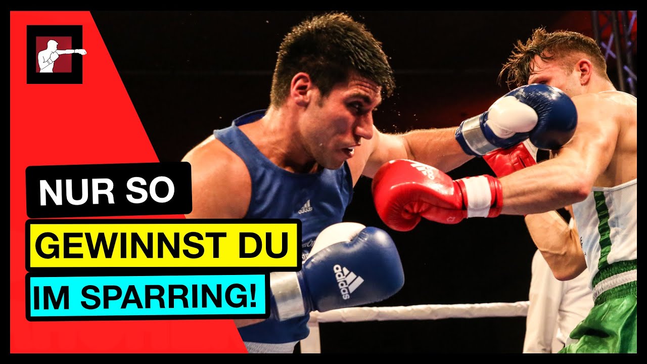 Boxen lernen - Die besten Tipps für Sparring (Für Anfänger und Fortgeschrittene)