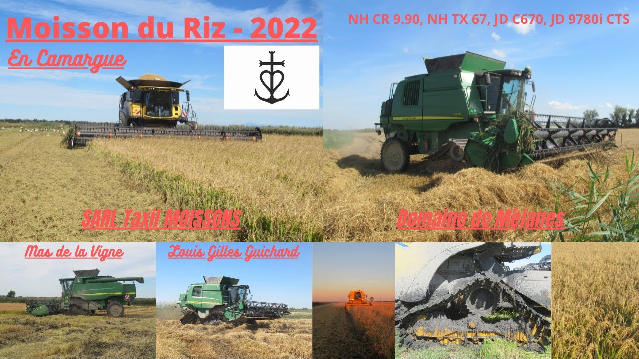 Moisson du riz en Camargue / NH CR 9.90 / NH TX67 / JD C670 / JD 9780i CTS - 2022