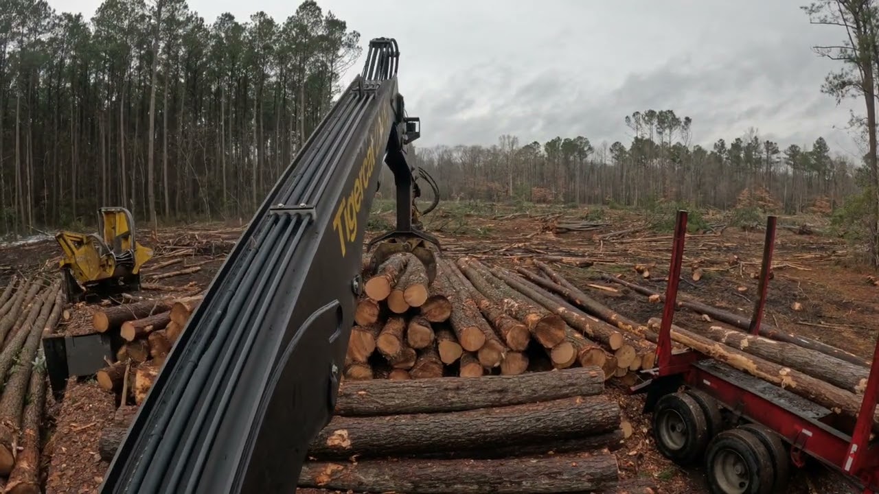 Heavy Equipment Logging Operation