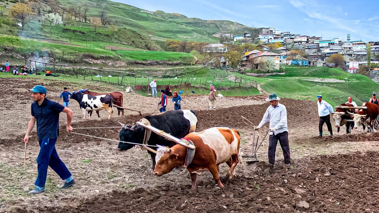 Как живут люди в отдаленных горных селах Дагестана — вдали от цивилизации