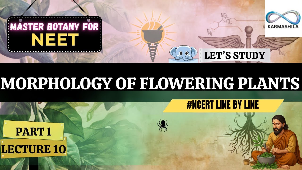 MORPHOLOGY OF FLOWERING PLANTS- Class 11 Biology Part 1 | NEET, CBSE, JKBOSE & State Boards