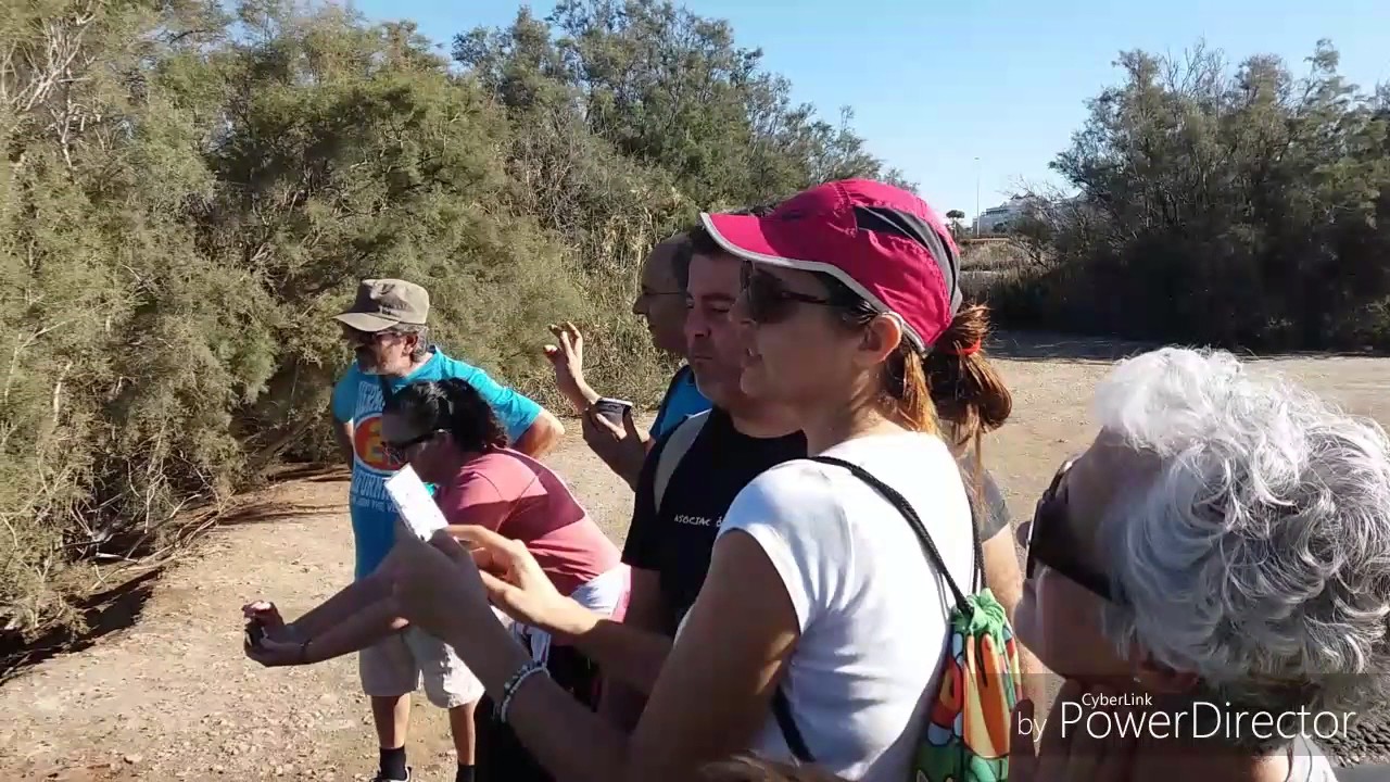 Visita-guiada Punta Entinas-Sabinar
