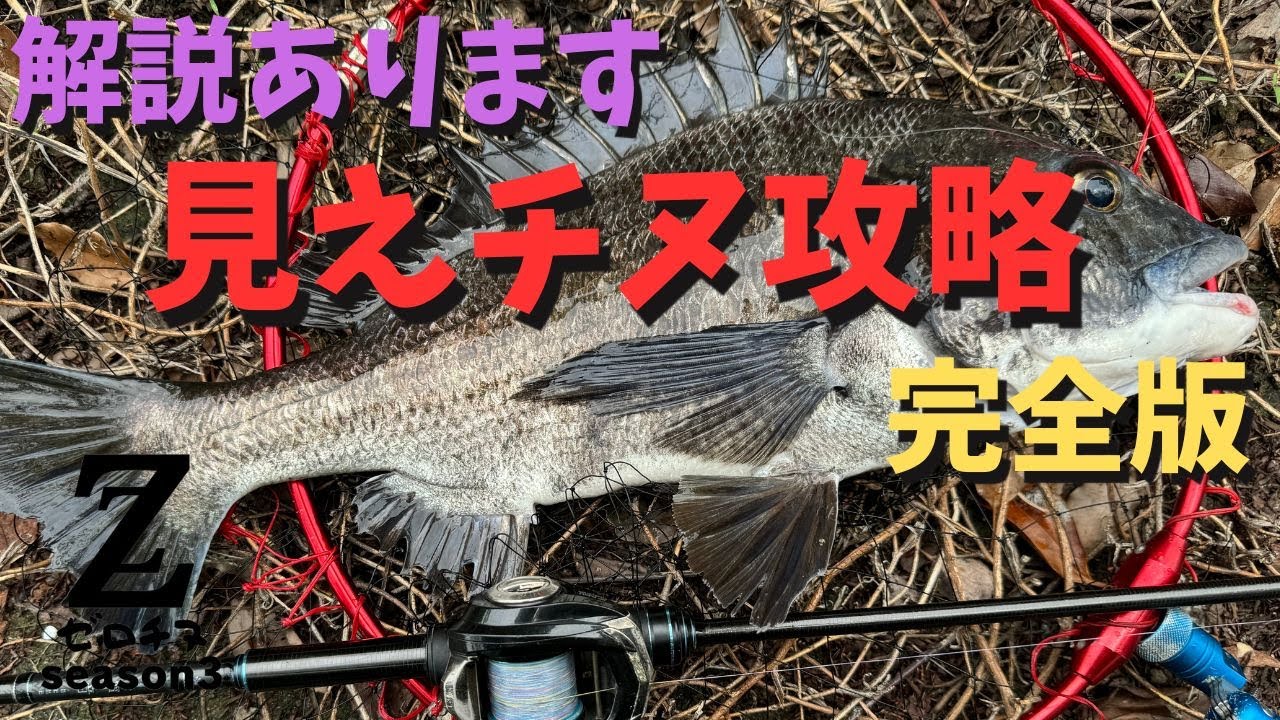 【チニング】ゼロチヌ　season3　見えチヌ攻略　完全版【チヌ】