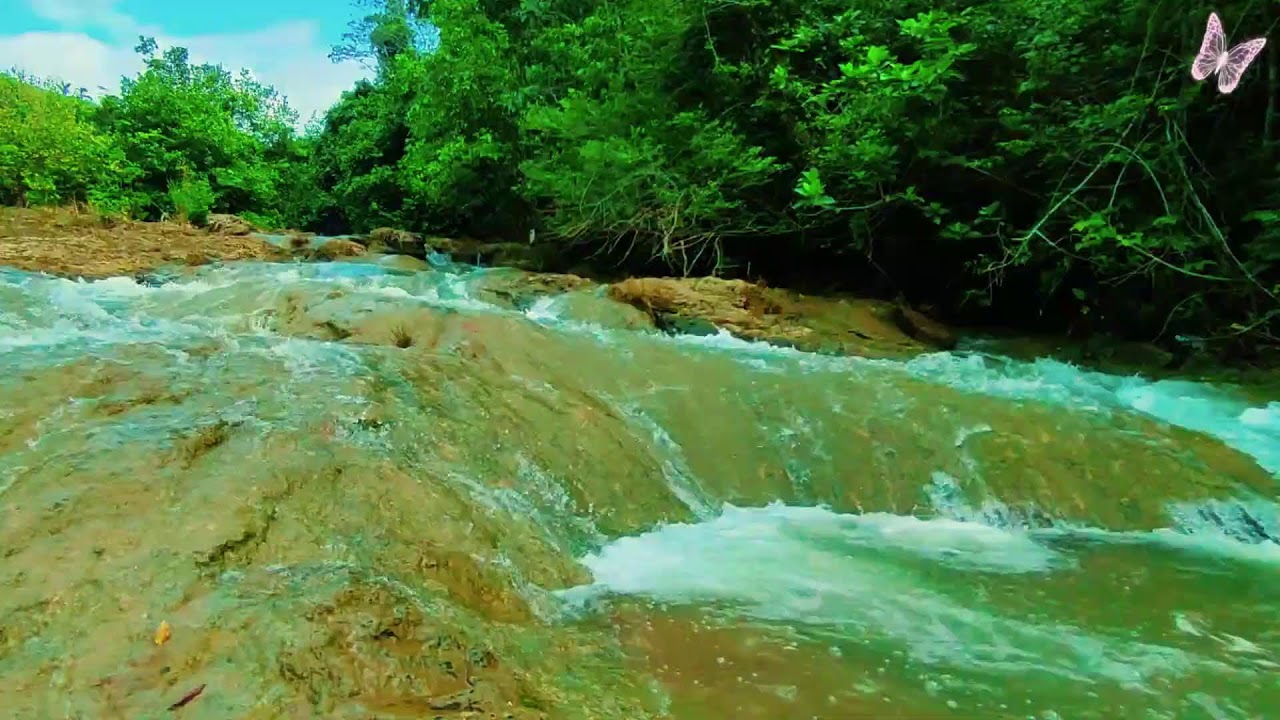 Relaxing Music For Stress Relief, Anxiety and Depressive States🌿 Heal Mind, Sleep Meditation Calm 3