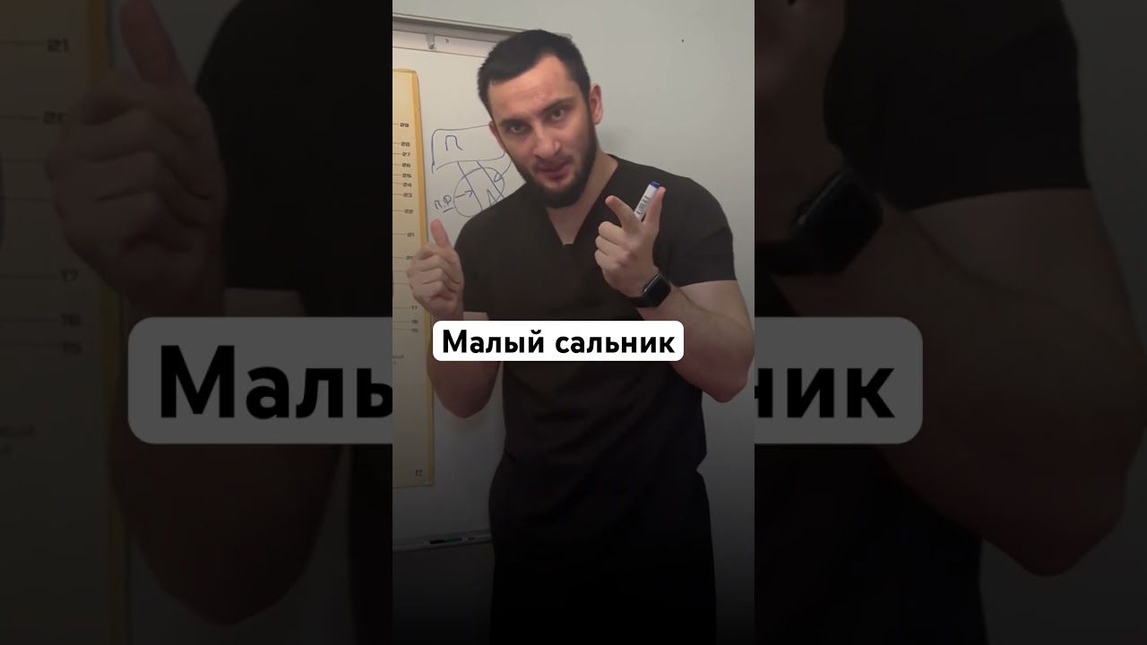Малый сальник #анатомия #медицина #врач #медицина