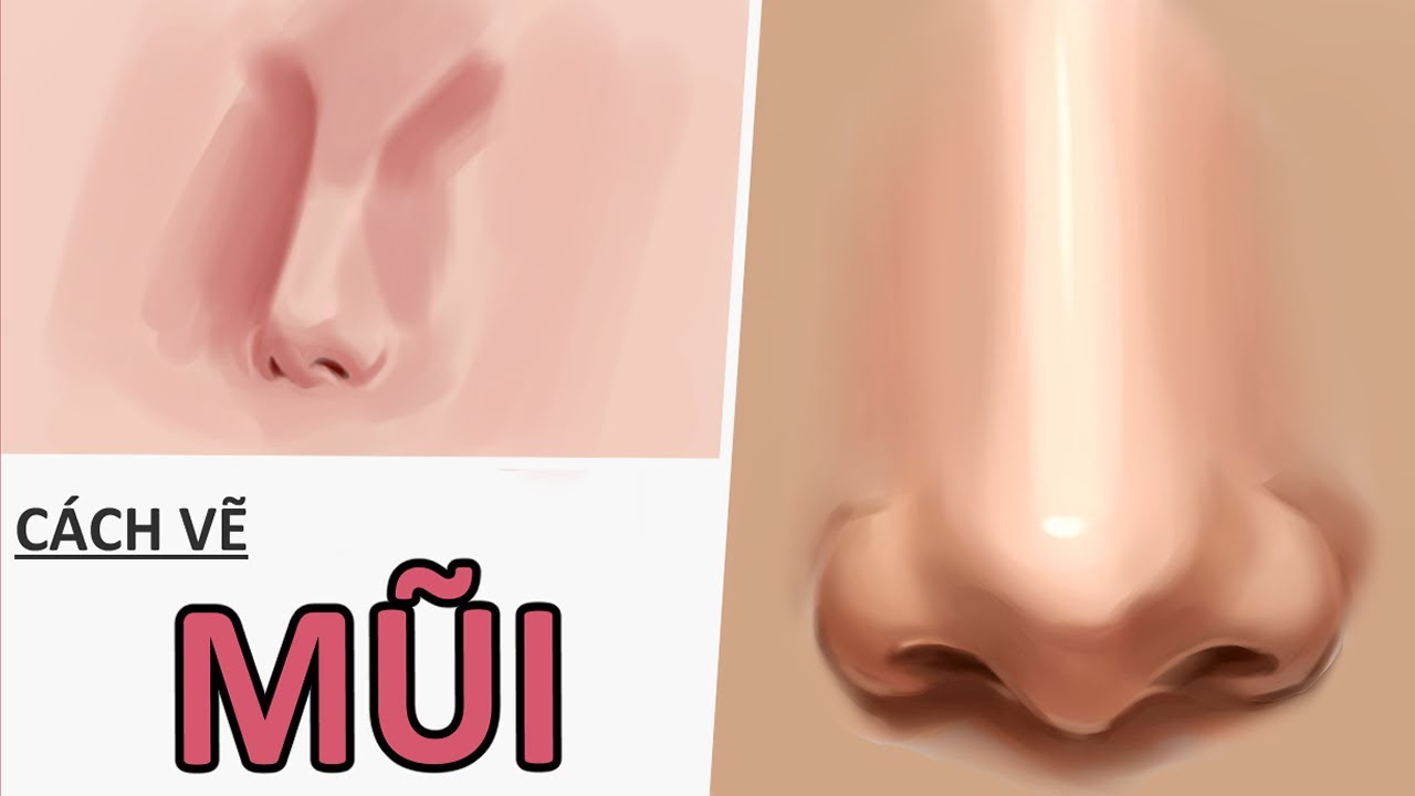 Cách Vẽ MŨI ( Từng Bước )