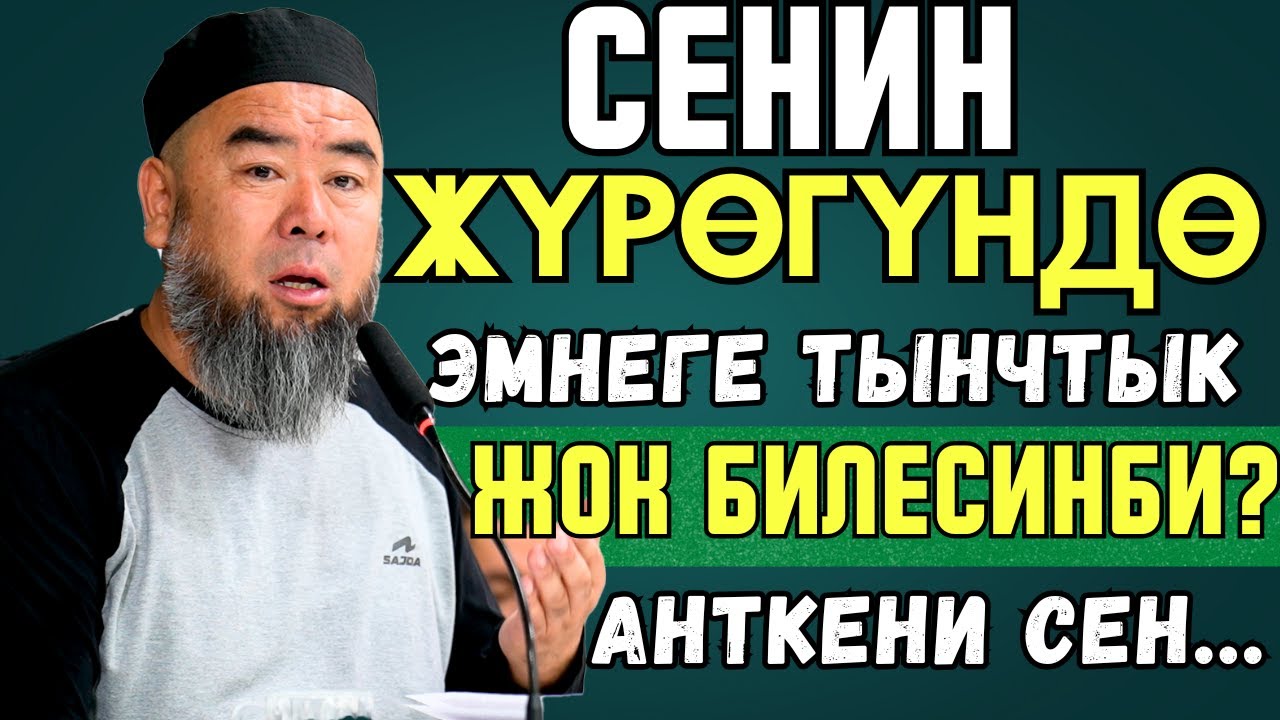 БАКТЫСЫЗ АДАМ МЭЭРИМСИЗ БОЛОТ! СЕНИН ЖҮРӨГҮНДӨ ЭМНЕГЕ ТЫНЧТЫК ЖОК БИЛЕСИҢБИ?