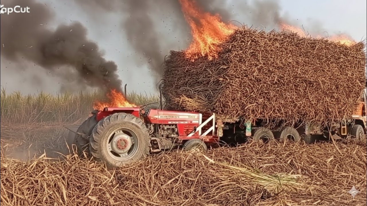 385 smoke fire on full sagur can loaded track fire on tractor salusir 🔥🔥🚫🚭🤯🥹🥺🥹🤯😱🚫