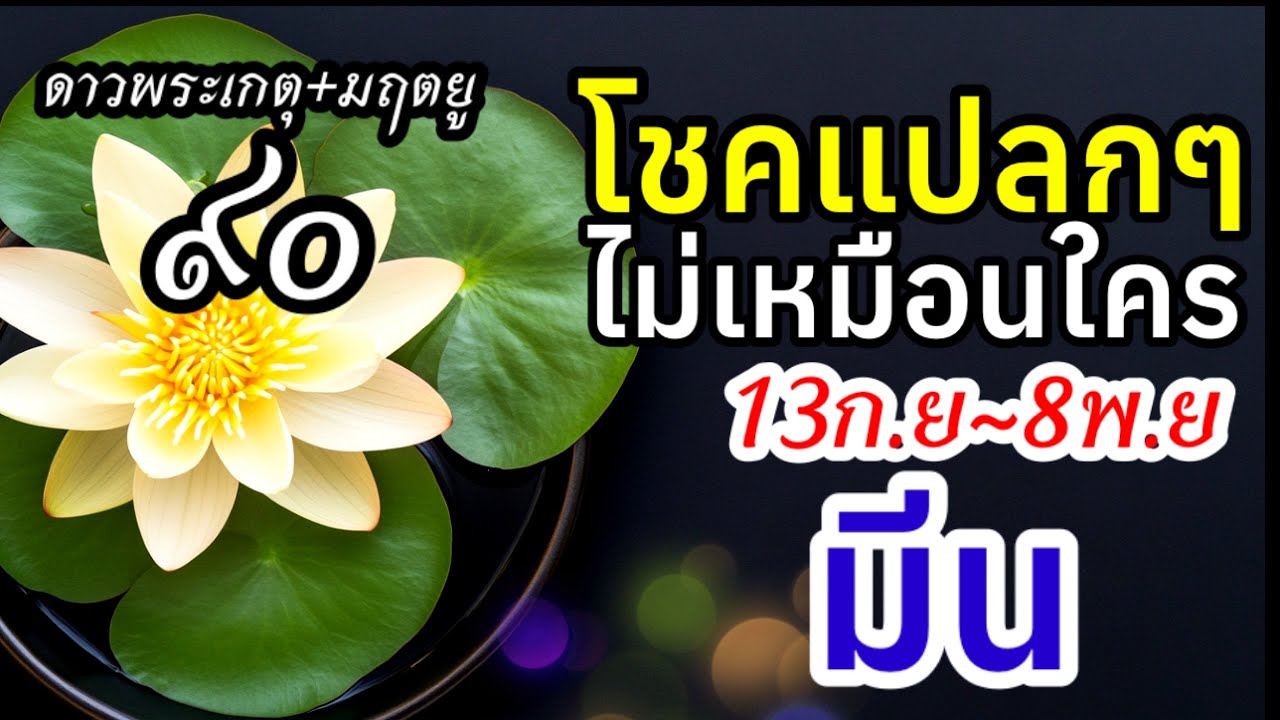ราศีมีน ดาวพระเกตุย้าย ๙๐