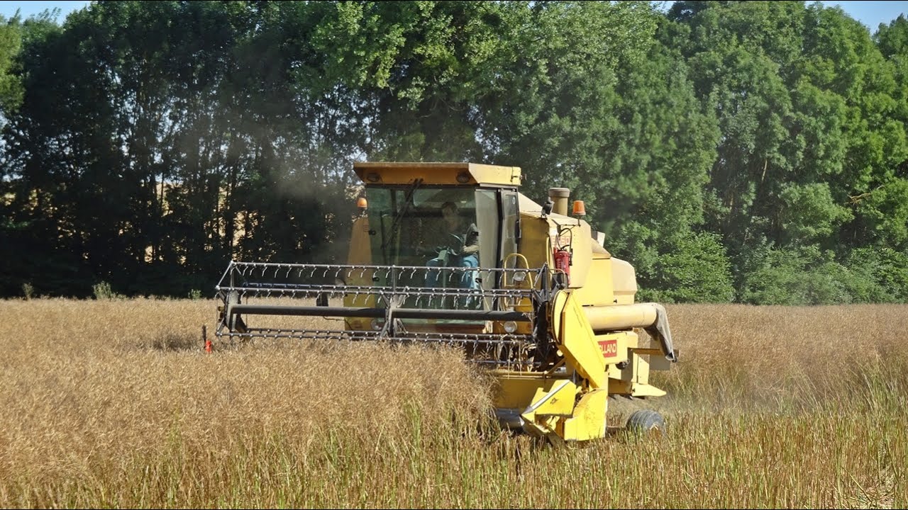 Moisson 2016 avec une New Holland 8050