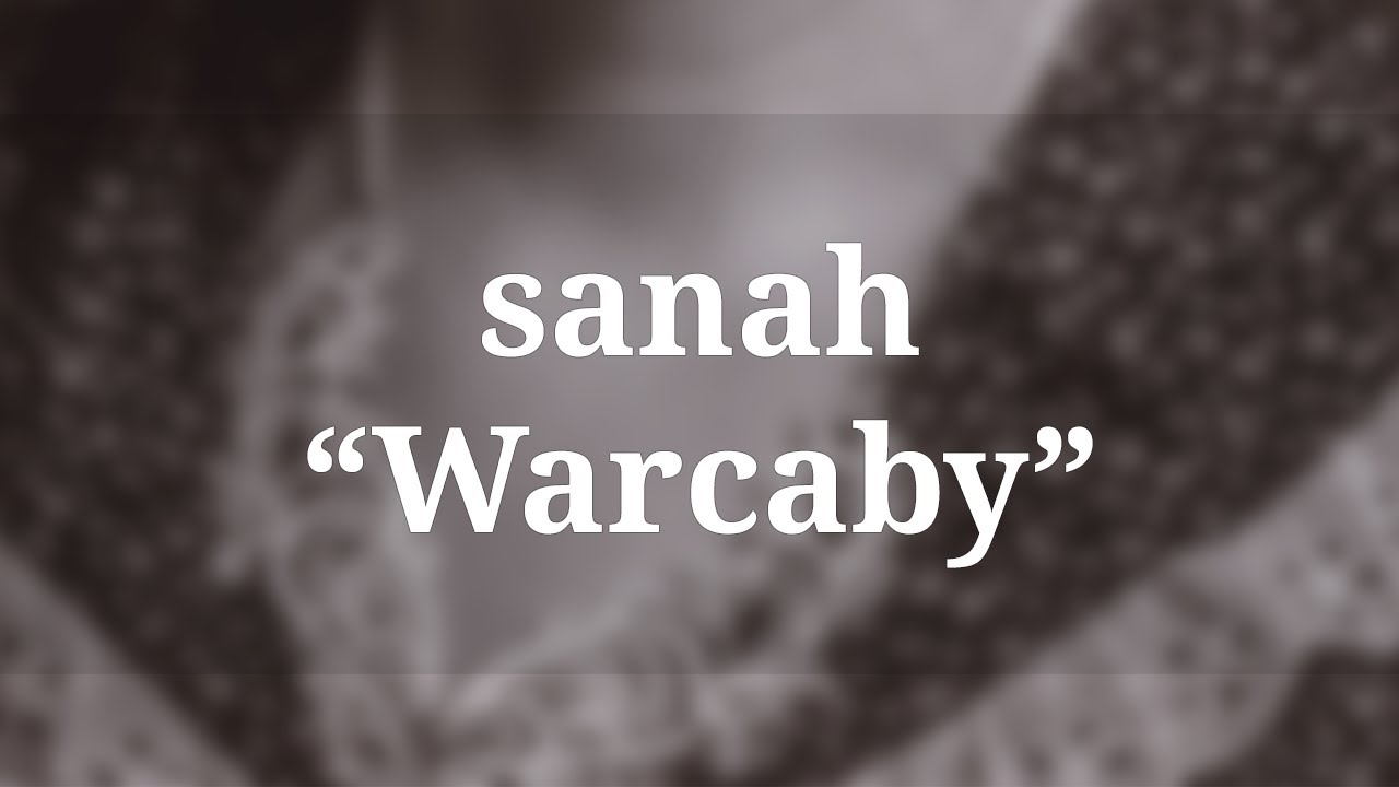 ♫ sanah - Warcaby (Tekst / Lyrics) ♫