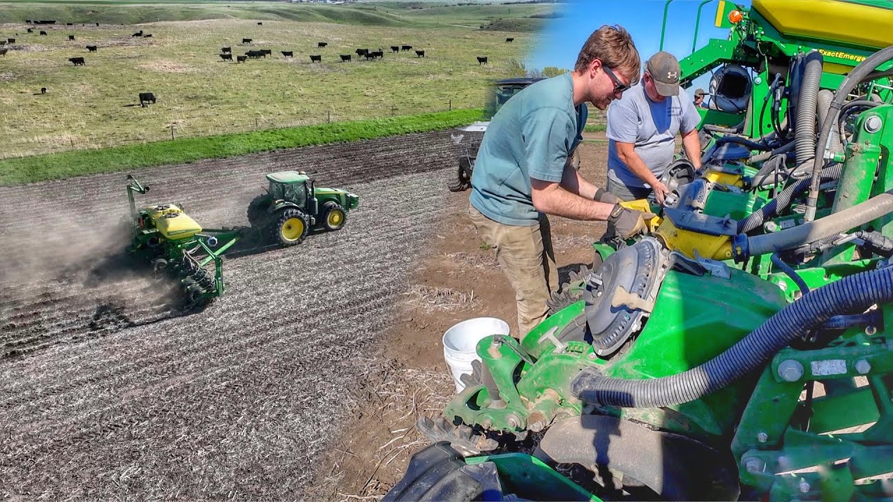 Planting Coles Corn and some Sweet Corn