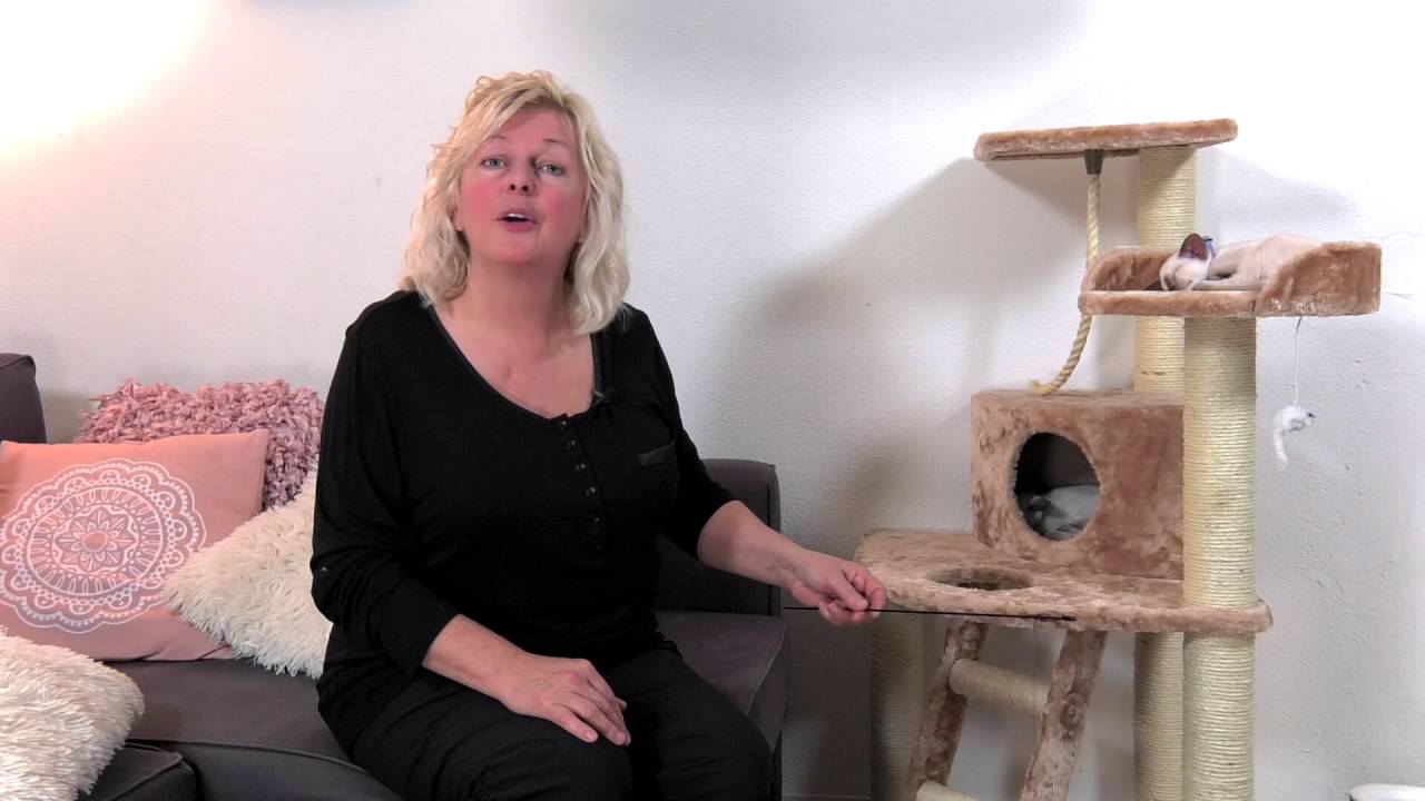 Hoe leer je je kat de krabpaal te gebruiken?