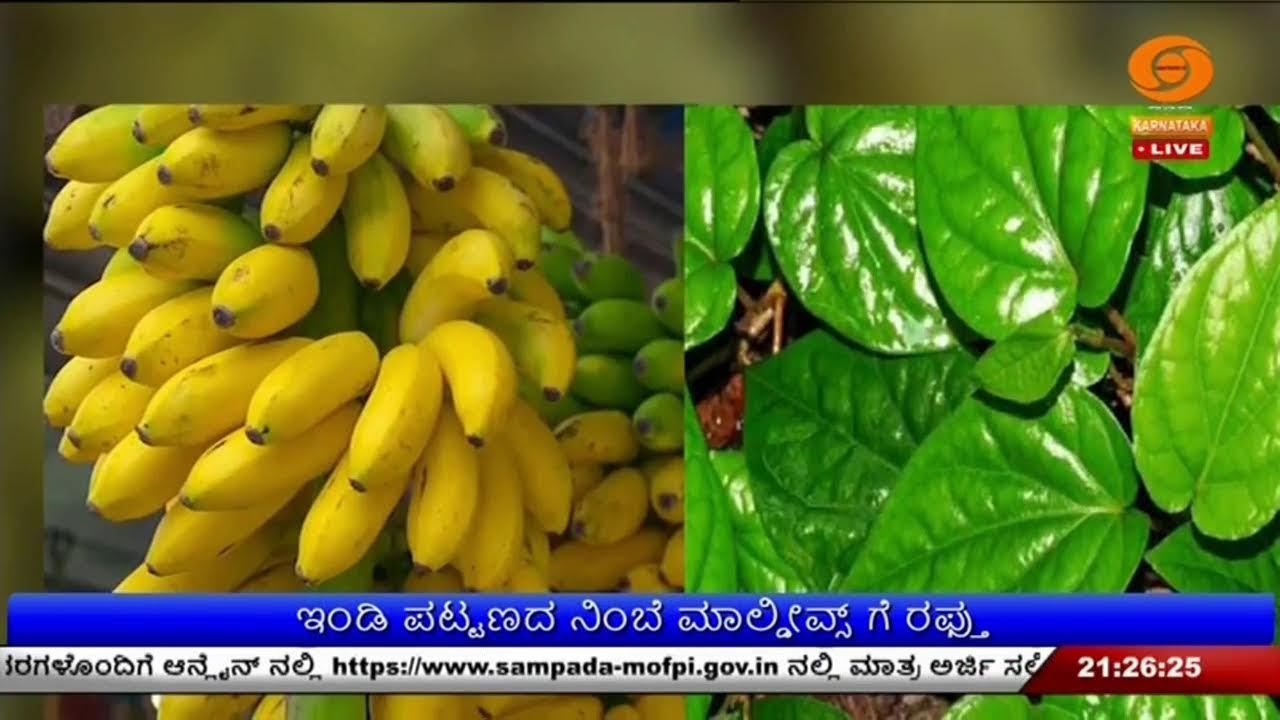 LIVE : DD CHANDANA NEWS 19.01.2026  9.00 PM