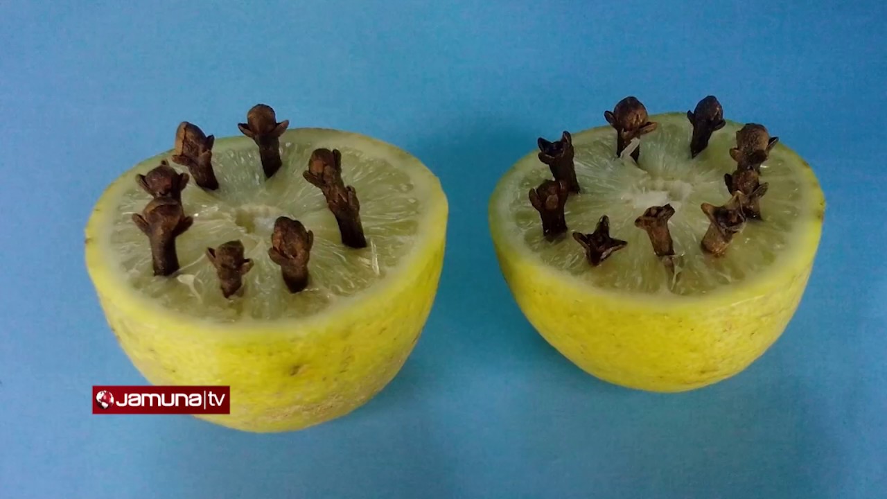 মশা তাড়াতে রয়েছে প্রাকৃতিক উপায় | Sundorer Shopney