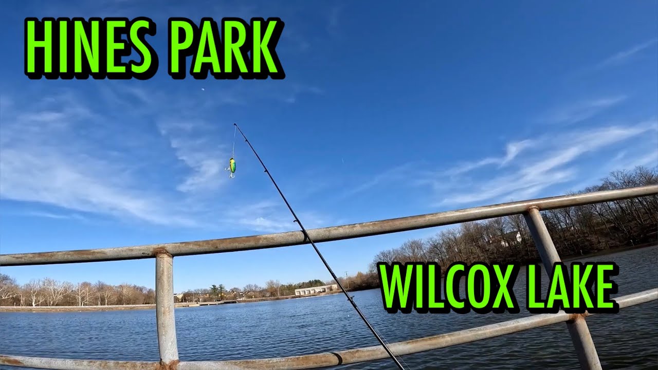 Fishing At A Historical Lake In Hines Park