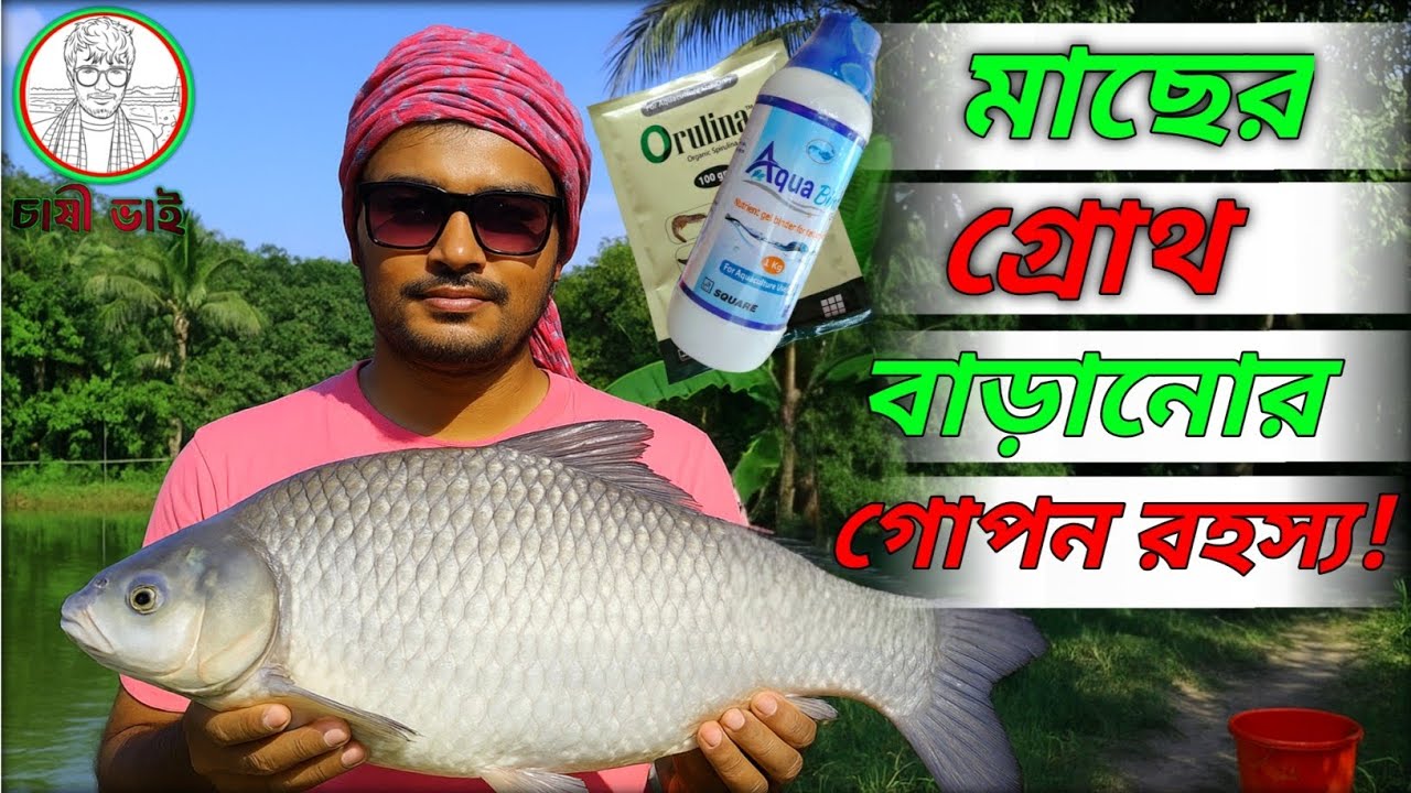 মাছের দ্রুত গ্রোথ ও ভিটামিনের ব্যবহারে |Fish Growth & Vitamin Tips in Bangla  #aquaculture  