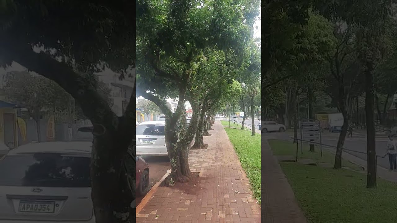 ROTINA DE ROLÂNDIA 5 FEIRA 3