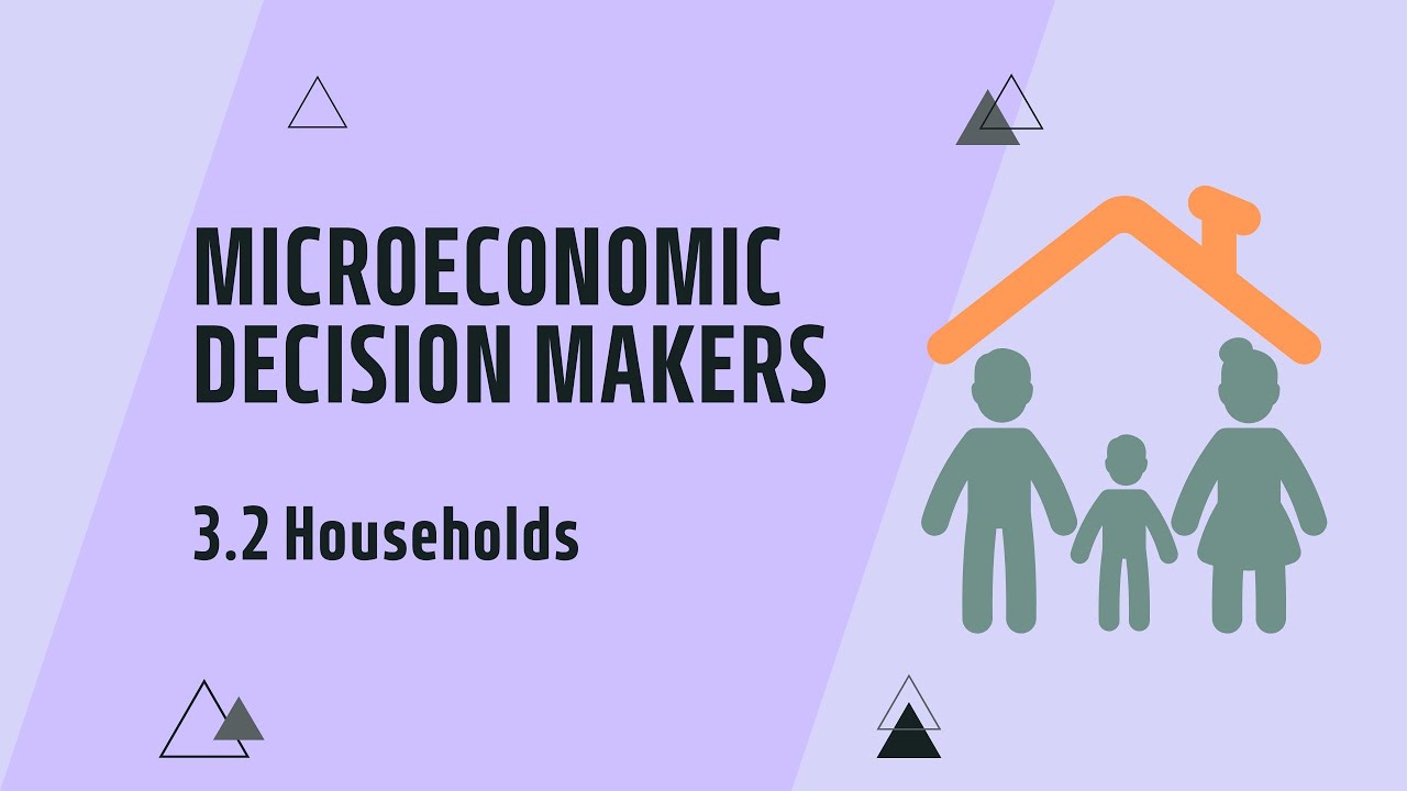 IGCSE Economics: Chapter 3.2 Households (Updated for 2027 syllabus)