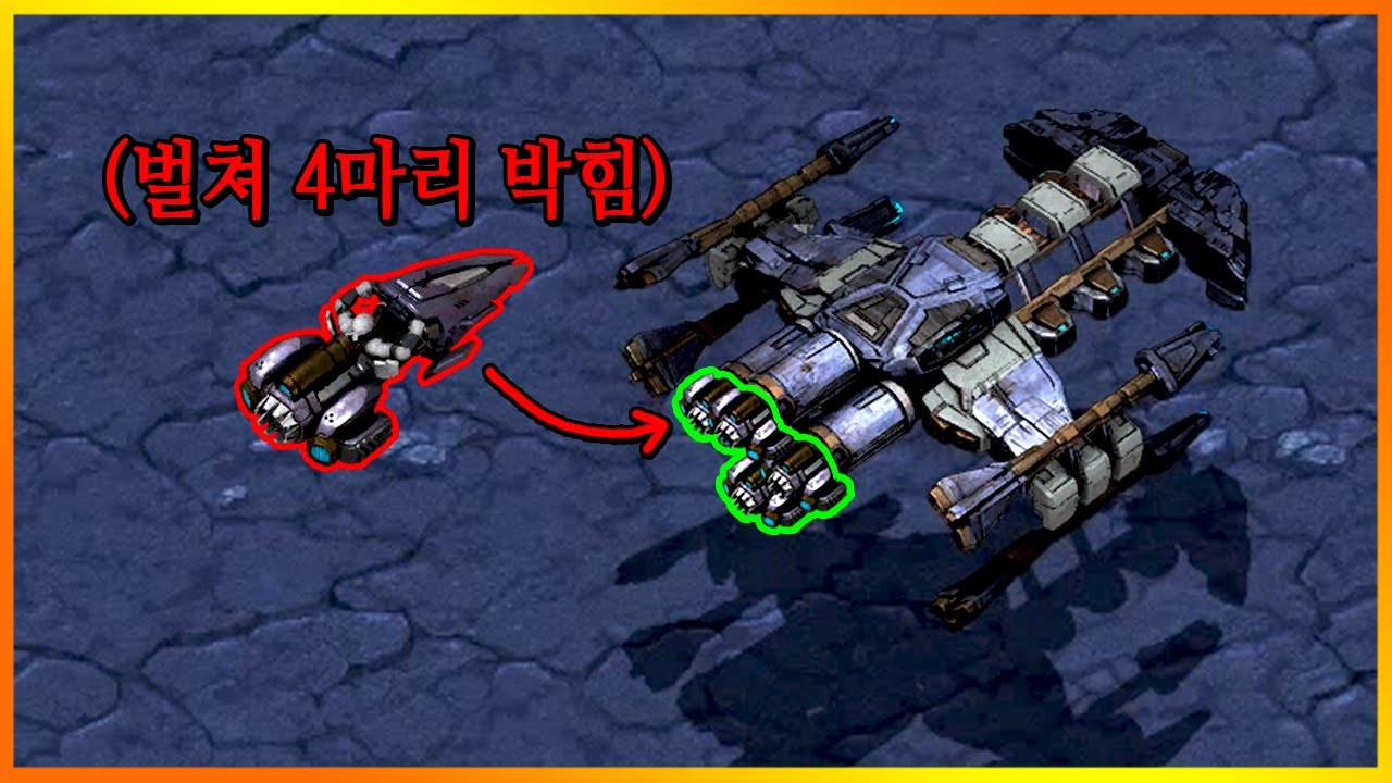 배틀크루저에 벌쳐 4마리 박았다.