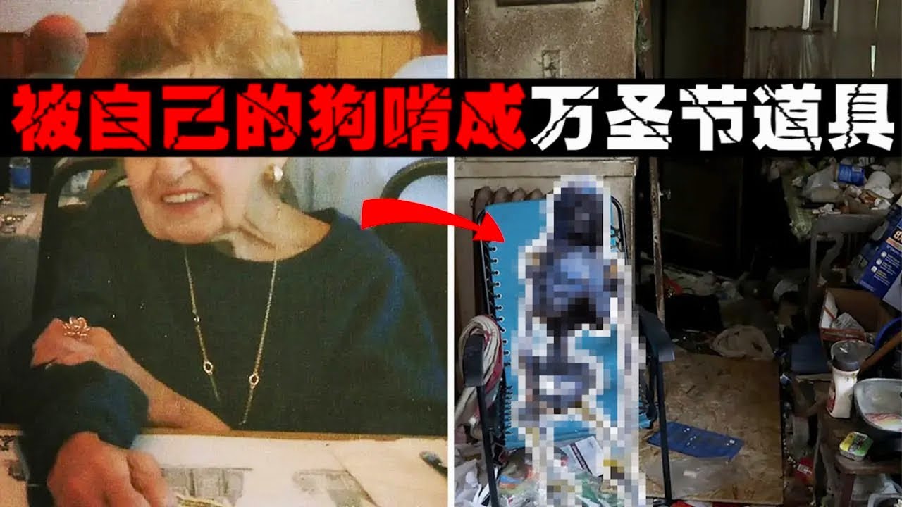 【恐怖囤积】囤了几十年的垃圾，死后尸体被自己的宠物狗食用！学霸兄弟40年囤了140吨垃圾，最后被堵死在家中！【郑郑得证】