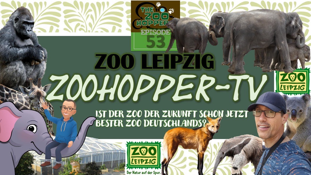 Ist der Zoo der Zukunft schon jetzt bester Zoo Deutschlands? (Zoohopper-TV Episode 53)