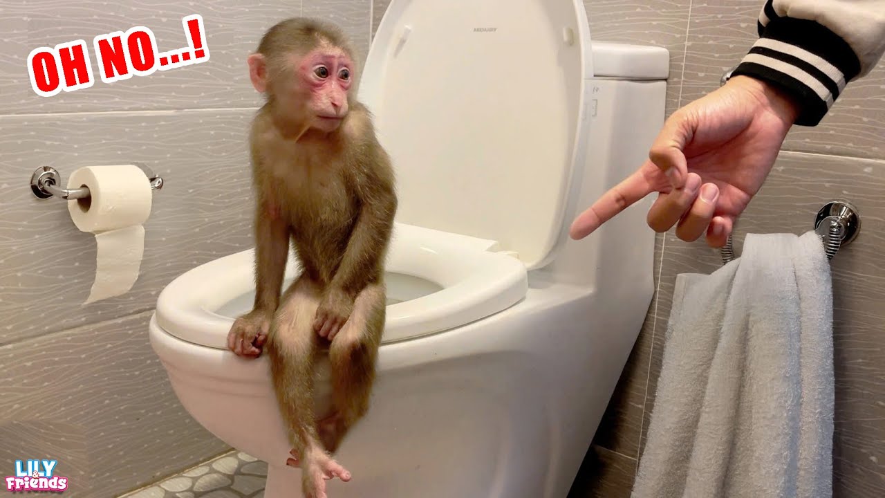 So great! A hard working week of Monkey Lily