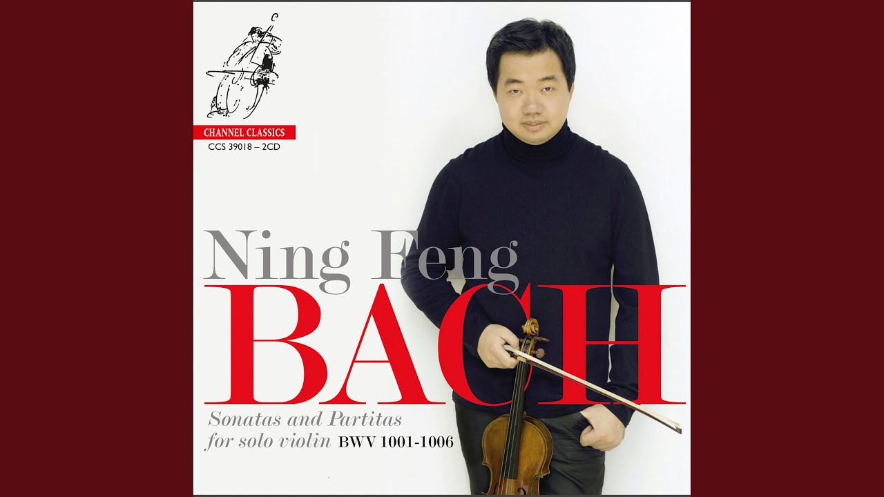 Violin Sonata No. 1 in G Minor, BWV 1001: II. Fuga. Allegro