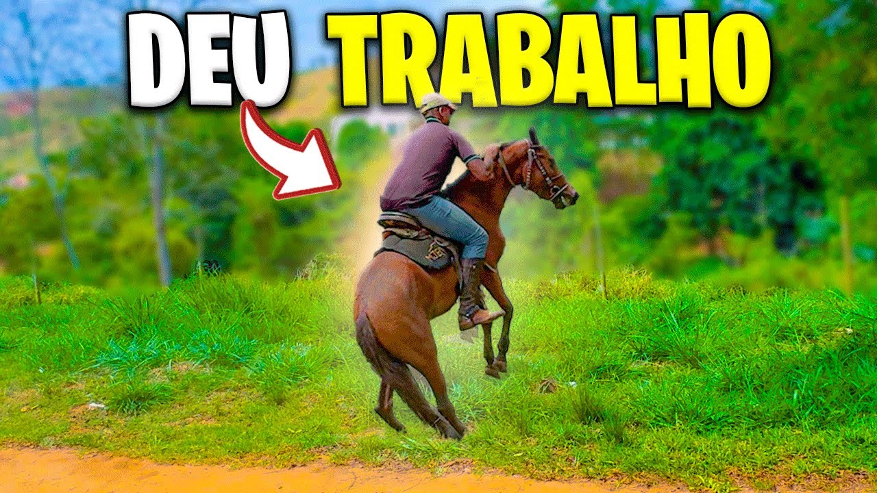 MONTAMOS A PRIMEIRA VEZ na NOVA POTRA ! Será que pulou ?