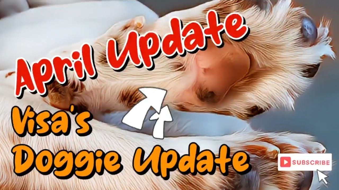 WARNING !!! before you emigrate you need to watch this