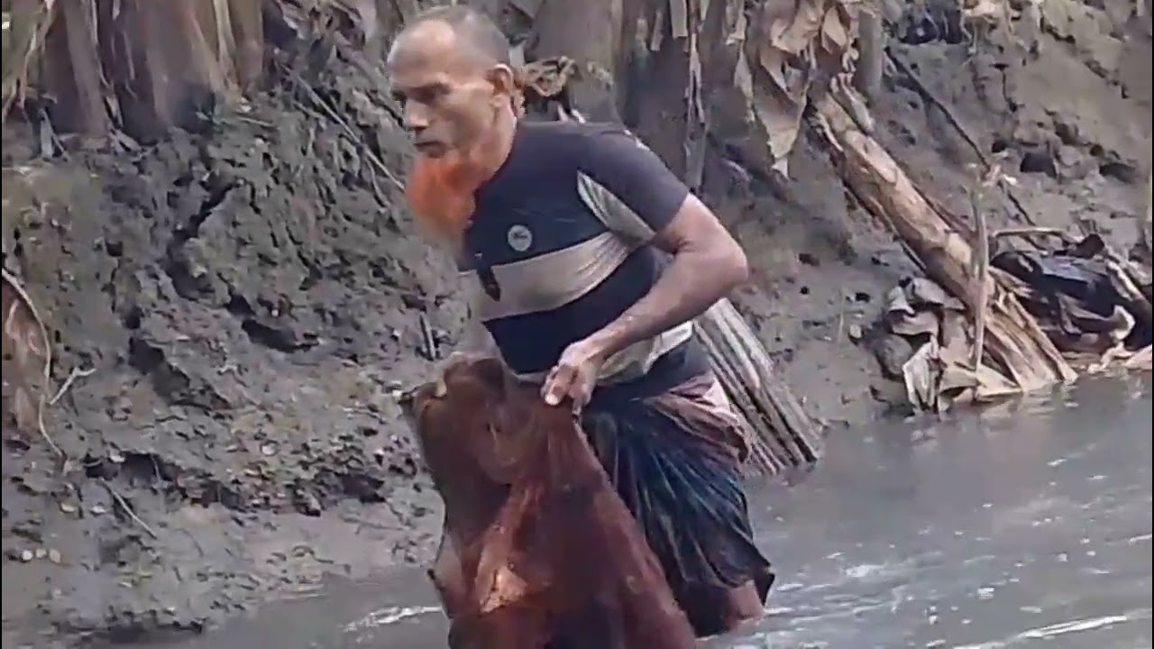 হাত দিয়ে মাছ ধরার অবিশ্বাস্য কৌশল! 😱 | Amazing Hand Fishing Technique