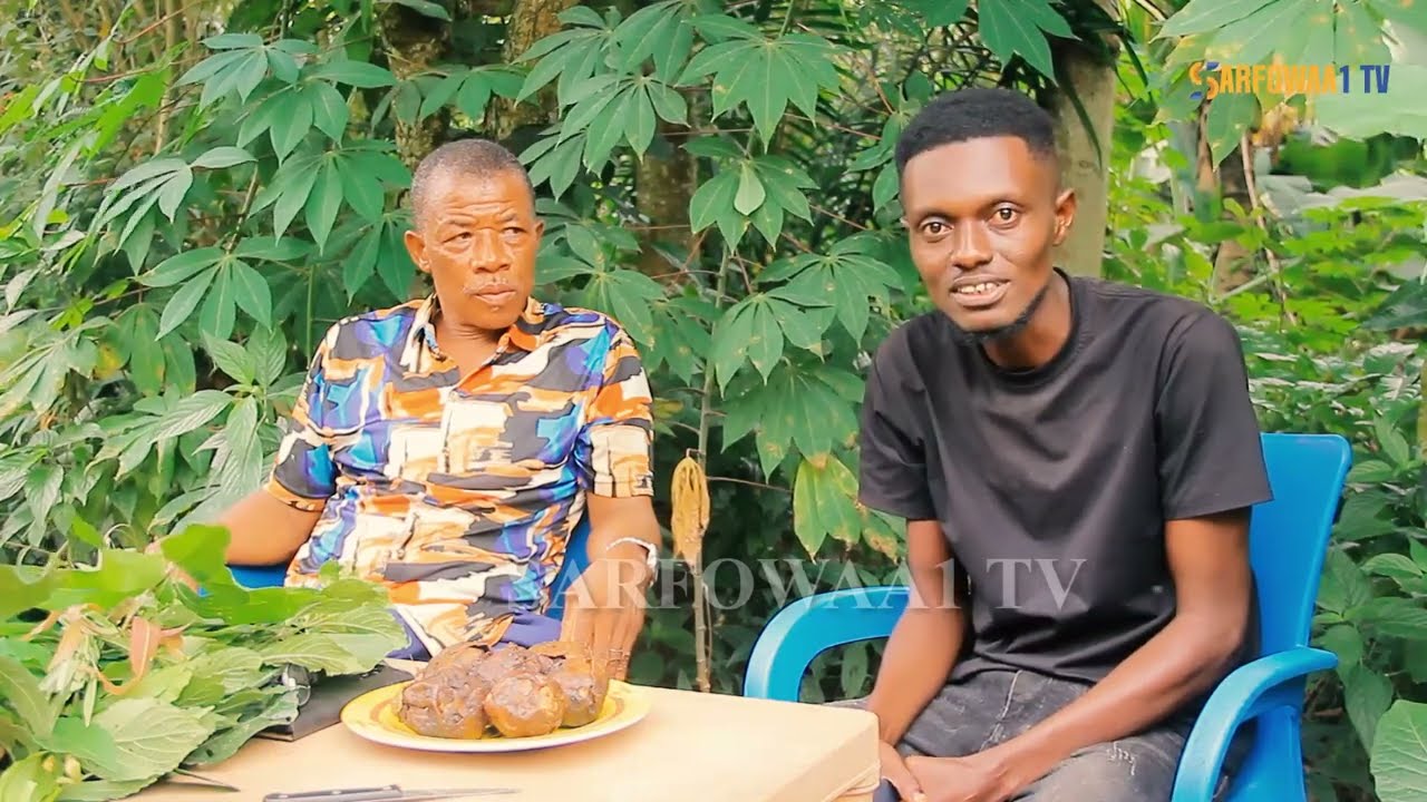 Health benefits of mango leaves and mango seeds. Dr. Moses shares.... 