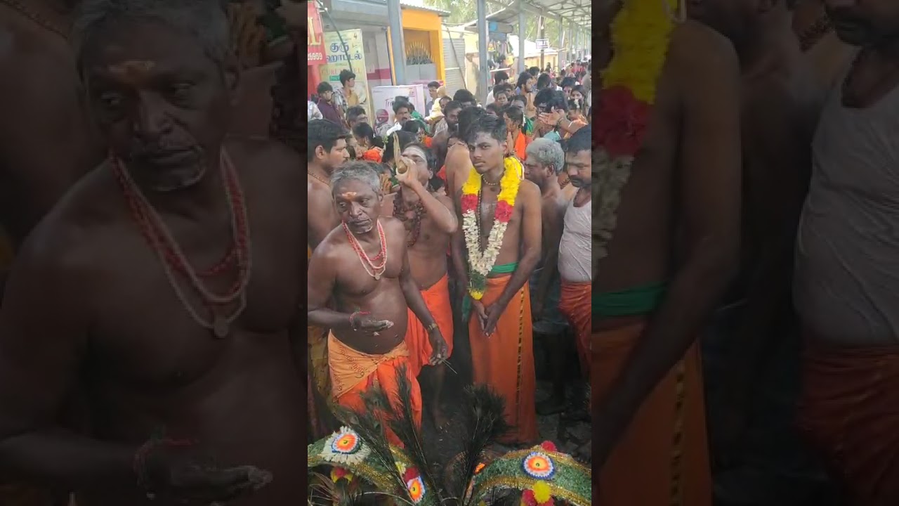 11 மார்ச், 2026