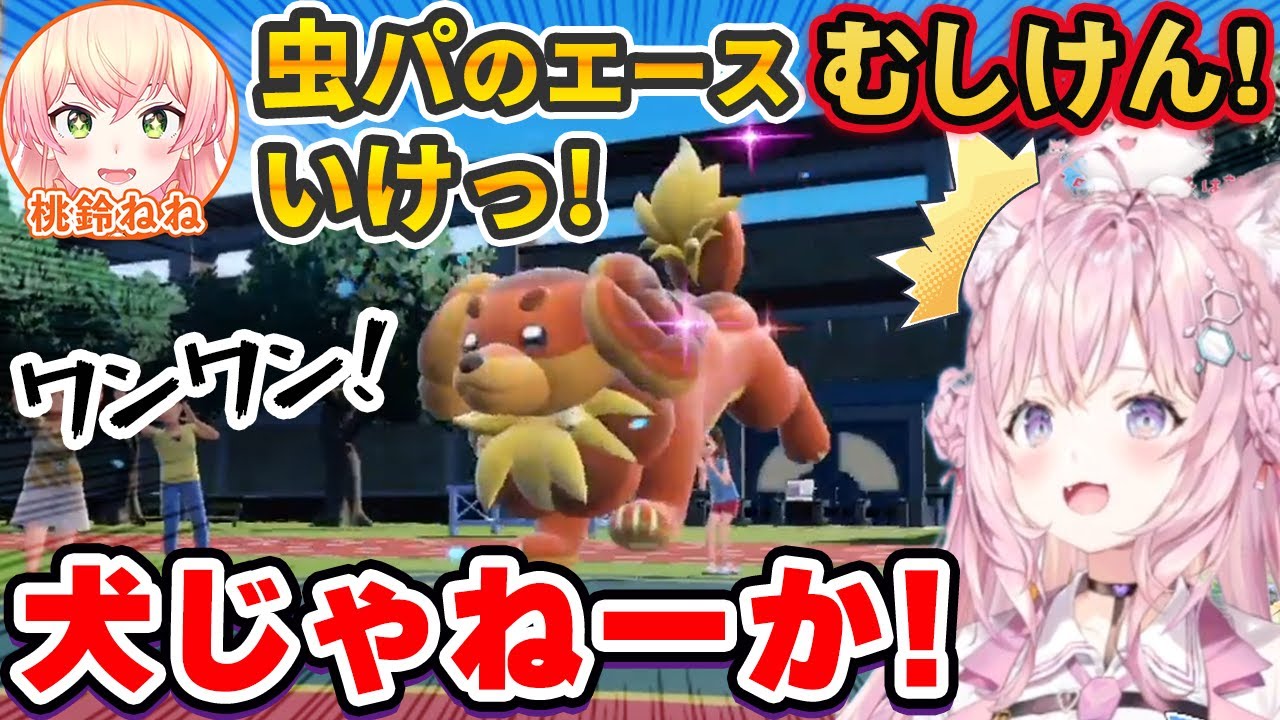 桃鈴ねねの虫パとバトルするもツッコミが止まらない博衣こより【ホロライブ切り抜き】