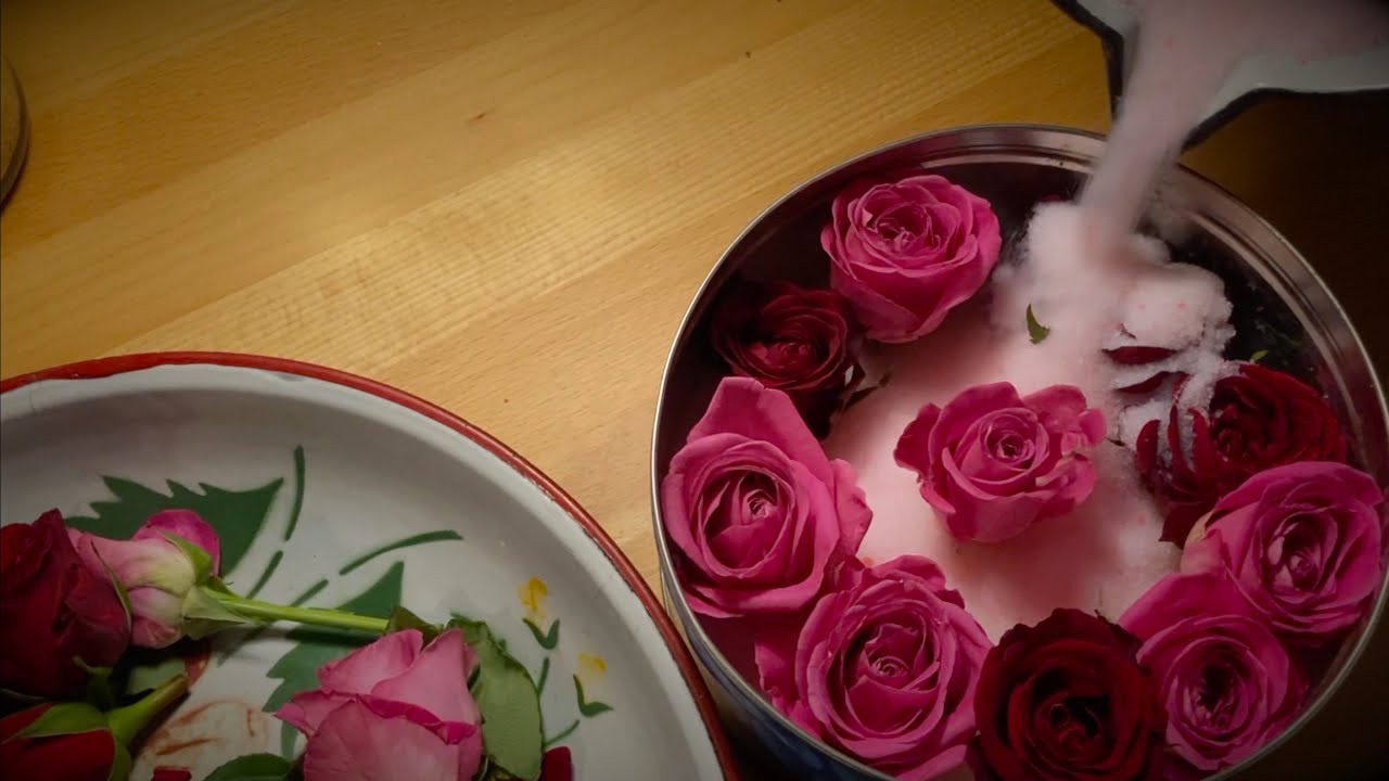 BASTELN MIT TANTE | BLUMEN TROCKNEN IN KATZENSTREU | SILIKAT SAND | Teil 1