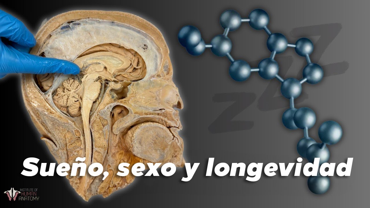 La Importancia de la Melatonina en el Sueño, Sexo y Longevidad!