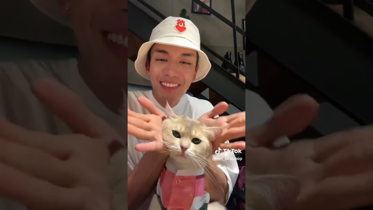 ChuChu be like :- Papa please spare me & grow up🤣 #netjames #netsiraphop #jamessu