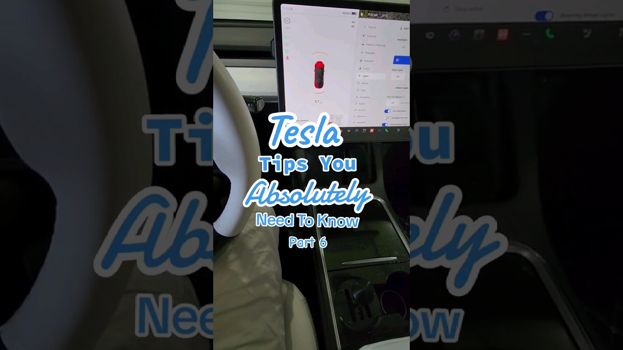 Tesla Ambient Lighting From Factory ?