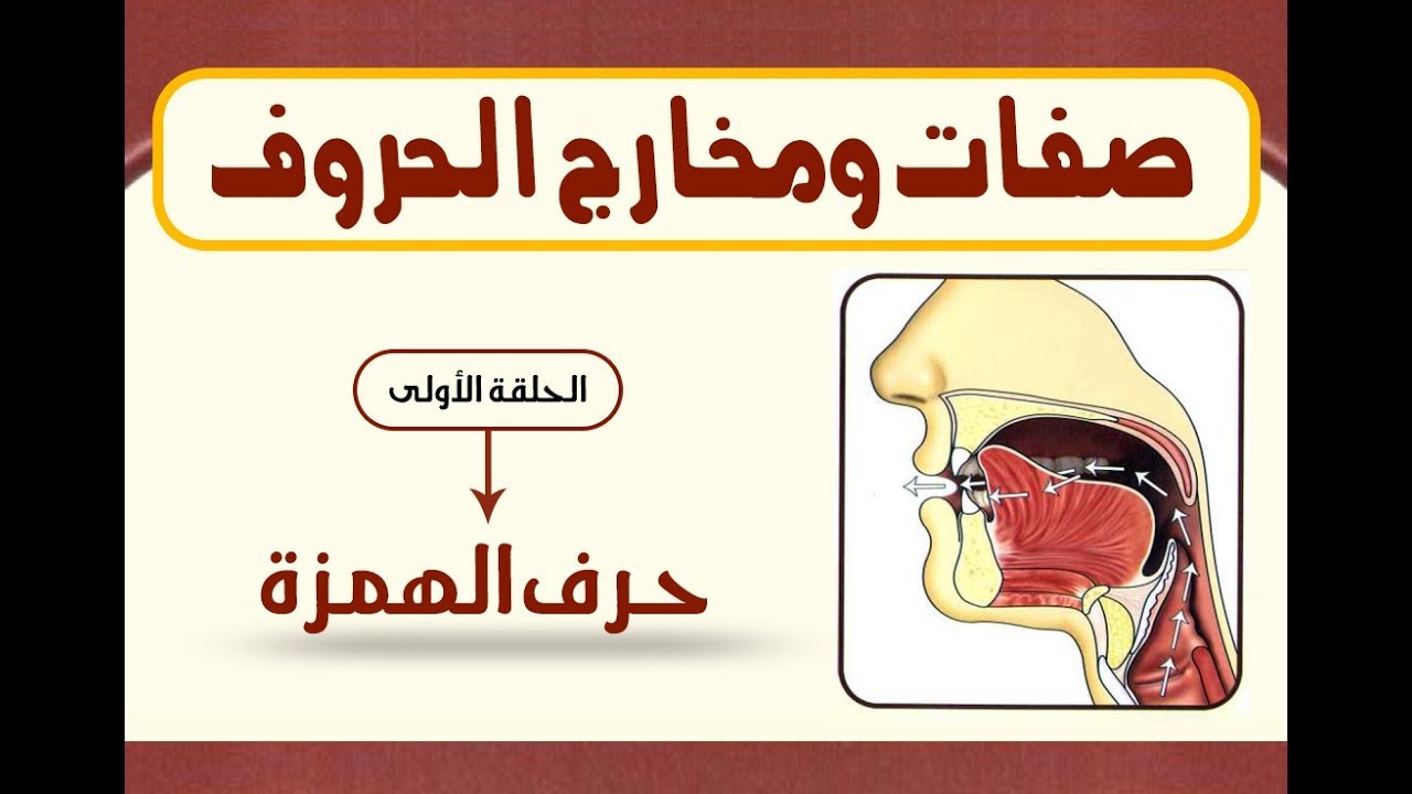 باب المخارج والصفات | حرف الهمزة (01)