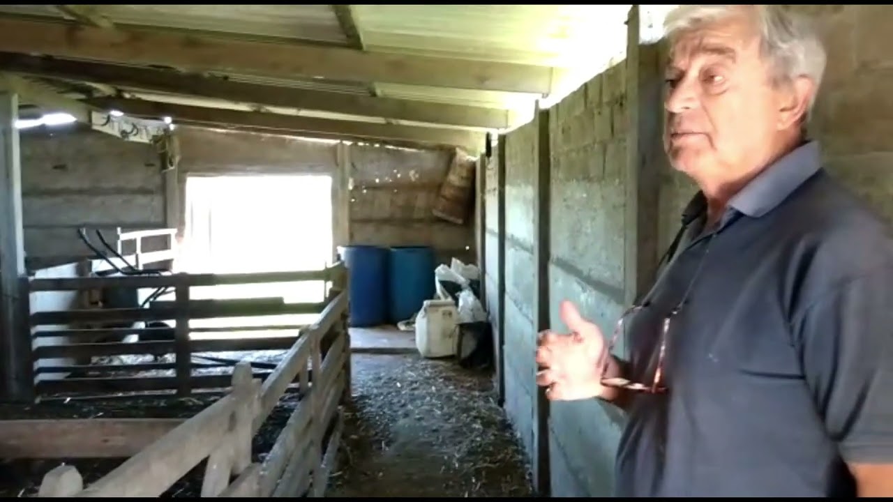 Santa Agueda. Te mostramos la quesería y la cabaña de ovejas frisonas