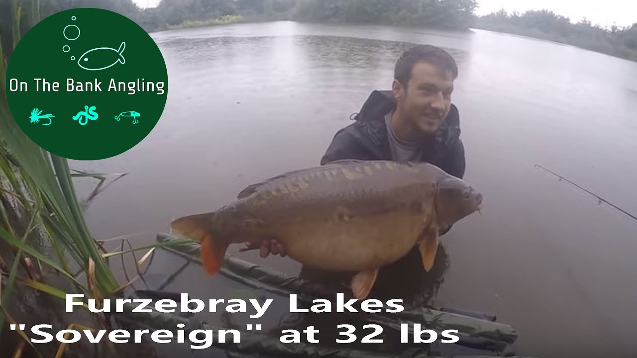 CARP FISHING - 
