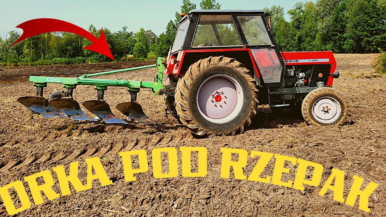 Orka Pod Rzepak URSUS C 385 i PŁUG 4 Skibowy