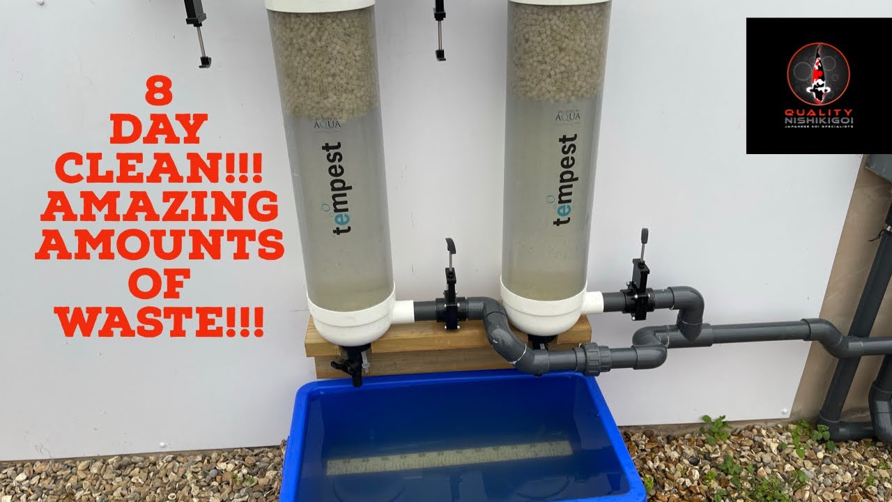Tempest cleaning after 8 days! A LOT OF WASTE!!
